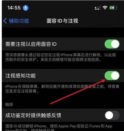西充苹果14维修网点分享iPhone14注视感知功能有什么用 